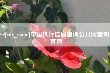 安吉中国执行信息查询公开网查询官网