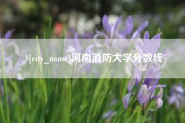 安吉河南消防大学分数线