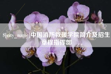 安吉中国消防救援学院简介及招生章程指挥部