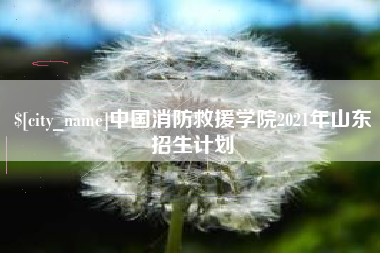 安吉中国消防救援学院2021年山东招生计划
