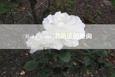 安吉消防证的查询