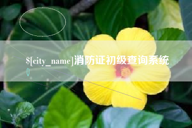 安吉消防证初级查询系统