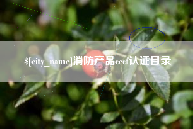 安吉消防产品cccf认证目录