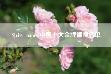 安吉中国十大金牌律师名单