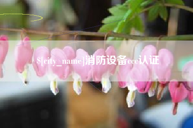 安吉消防设备ccc认证