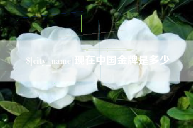 安吉现在中国金牌是多少