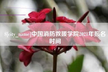 安吉中国消防救援学院2021年报名时间