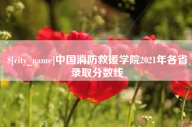 安吉中国消防救援学院2021年各省录取分数线
