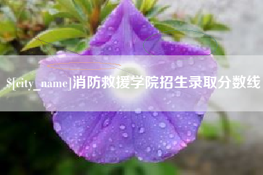 安吉消防救援学院招生录取分数线