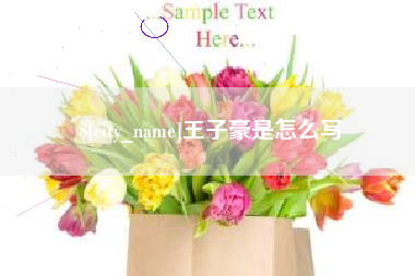 安吉王子豪是怎么写