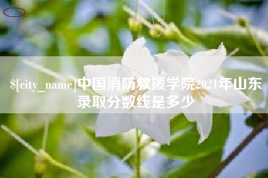 安吉中国消防救援学院2021年山东录取分数线是多少
