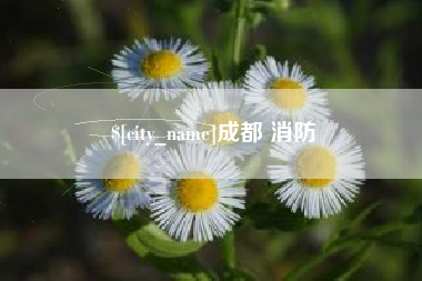 安吉成都 消防