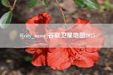 安吉谷歌卫星地图2025