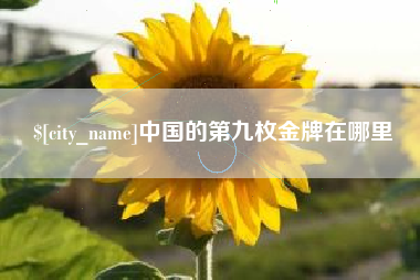 安吉中国的第九枚金牌在哪里