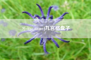 安吉九宫格盘子