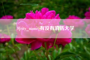 安吉有没有消防大学