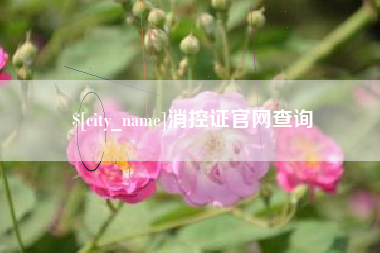 安吉消控证官网查询