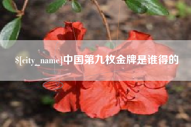 安吉中国第九枚金牌是谁得的
