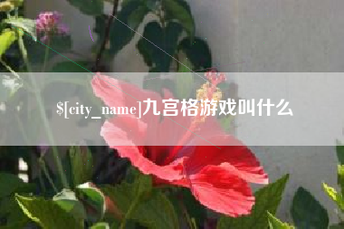 安吉九宫格游戏叫什么