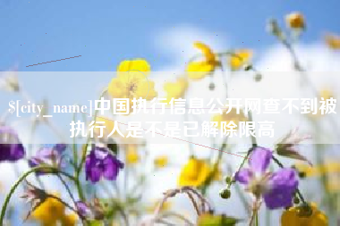 安吉中国执行信息公开网查不到被执行人是不是已解除限高