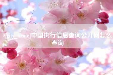 安吉中国执行信息查询公开网怎么查询
