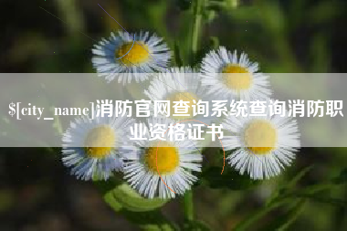 安吉消防官网查询系统查询消防职业资格证书