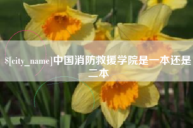 安吉中国消防救援学院是一本还是二本