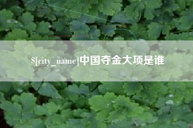 安吉中国夺金大项是谁