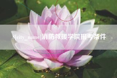 安吉消防救援学院报考条件