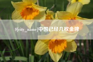 安吉中国已经几枚金牌