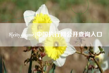 安吉中国执行网公开查询入口