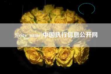 安吉中国执行信息公开网