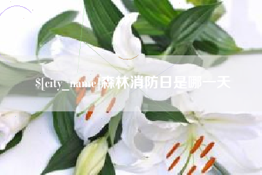 安吉森林消防日是哪一天
