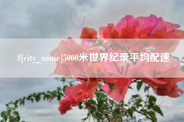 安吉5000米世界纪录平均配速