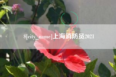 安吉上海消防员2021