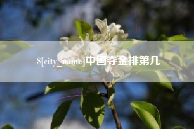 安吉中国夺金排第几