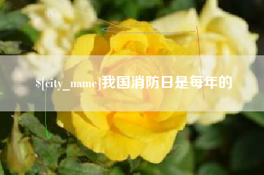 安吉我国消防日是每年的