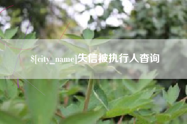 安吉失信被执行人杳询