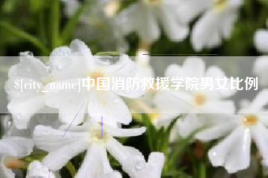 安吉中国消防救援学院男女比例