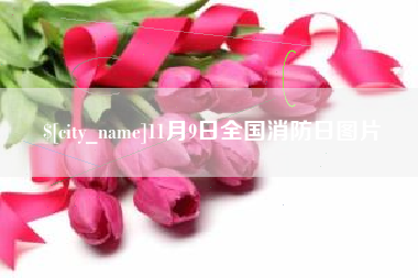 安吉11月9日全国消防日图片