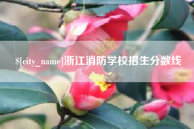 安吉浙江消防学校招生分数线