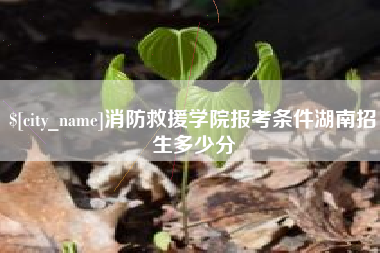 安吉消防救援学院报考条件湖南招生多少分