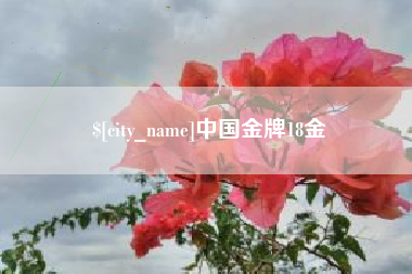安吉中国金牌18金