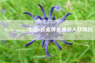 安吉中国6枚金牌是哪些人获得的