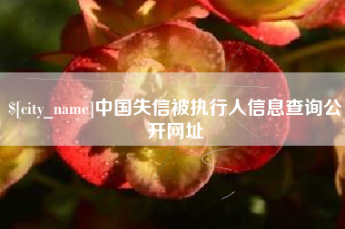 安吉中国失信被执行人信息查询公开网址