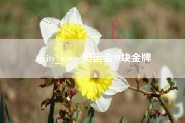 安吉奥运会39块金牌