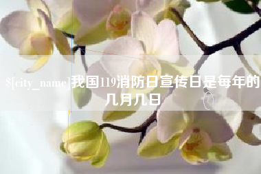 安吉我国119消防日宣传日是每年的几月几日