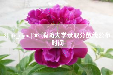 安吉2024消防大学录取分数线公布时间