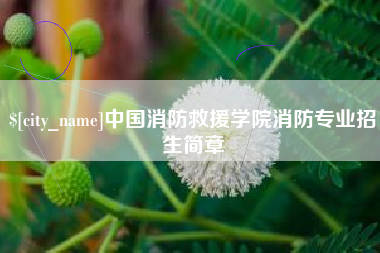 安吉中国消防救援学院消防专业招生简章