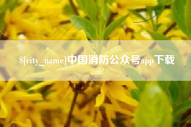 安吉中国消防公众号app下载